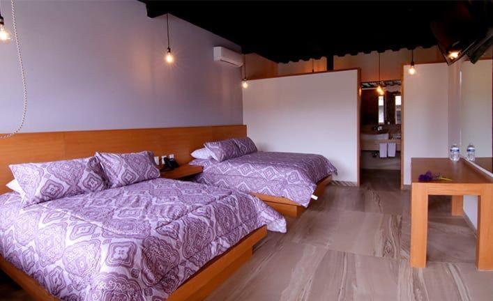 Villa Gallaecia G&S Con 10 Habitaciones Santa Catarina  ภายนอก รูปภาพ